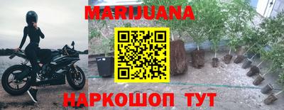 шишки Гусев